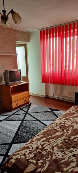 Apartament 2 camere de inchiriat Lugoj - 9