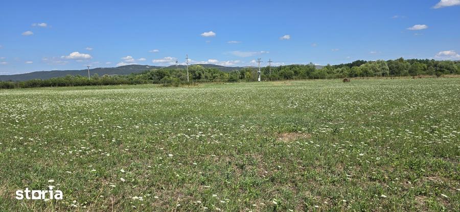 Teren in zona Rascruci ideal pentru hala, toate utilita?ile - 5