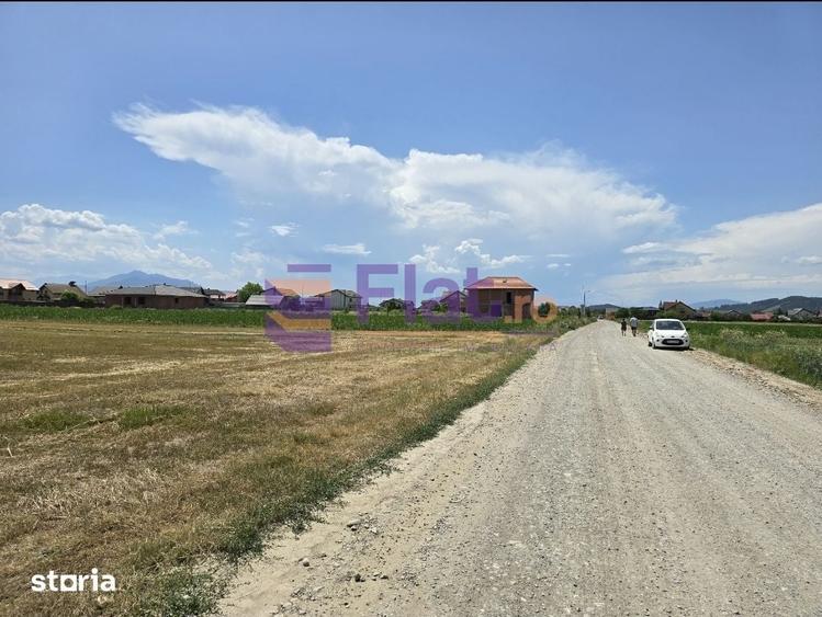 Teren intravilan de vanzare in Harman, Bra?ov cu utilitati - 3