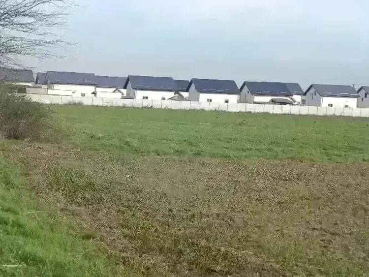 Teren de 8000 mp, în Central