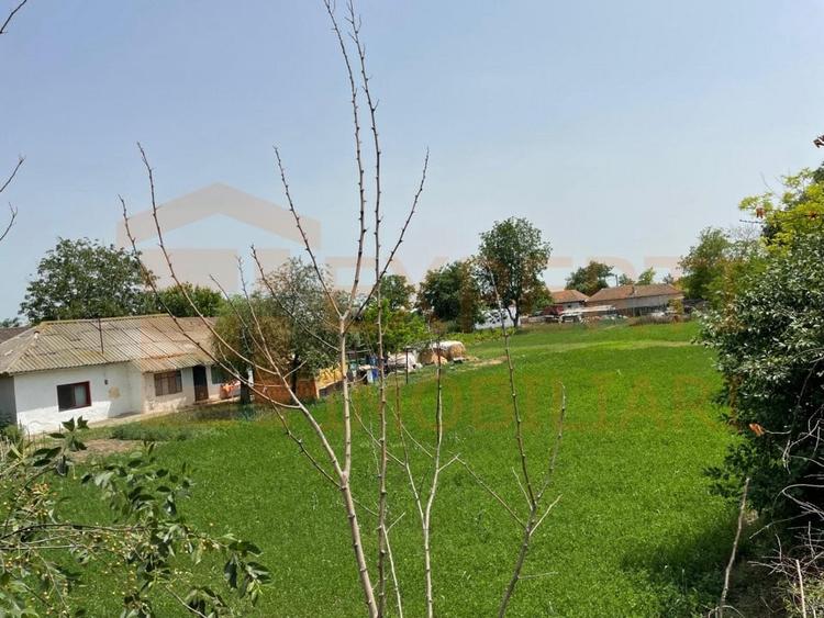 Teren Construcții intravilan de 2581 mp, în Mihail Kogălniceanu