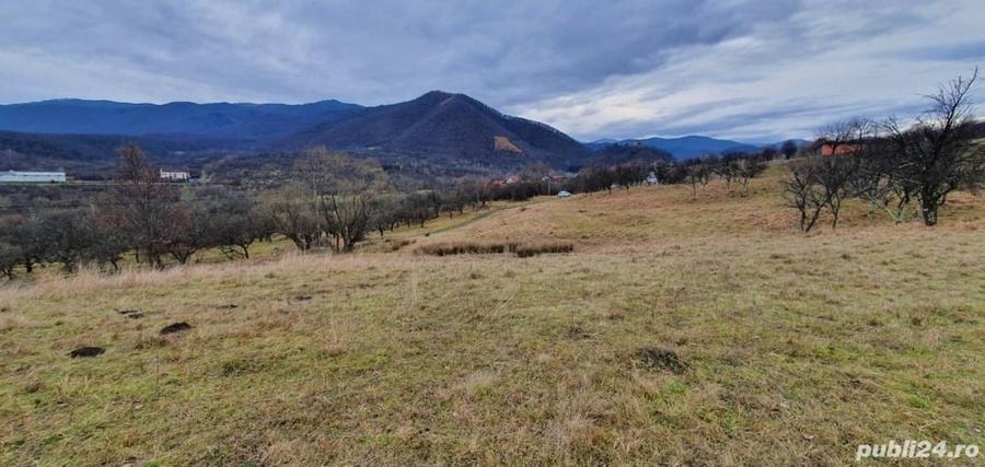 Teren de 1255 mp, în Cisnădioara