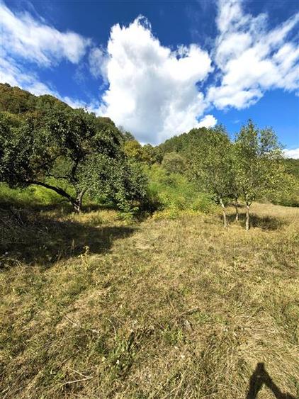 Teren agricol extravilan de 2500 mp, în Periferie