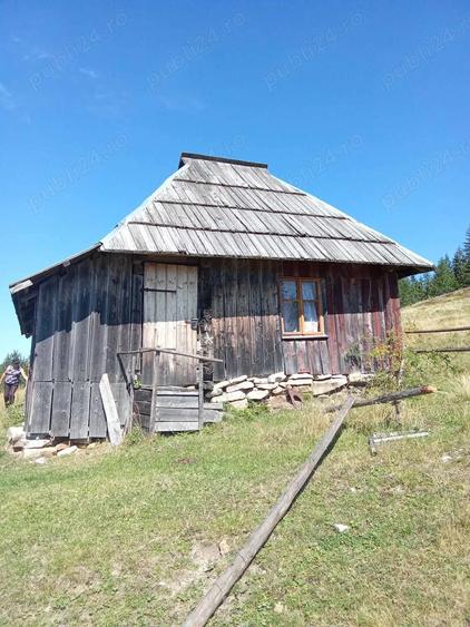 Teren de 50000 mp, în Argel
