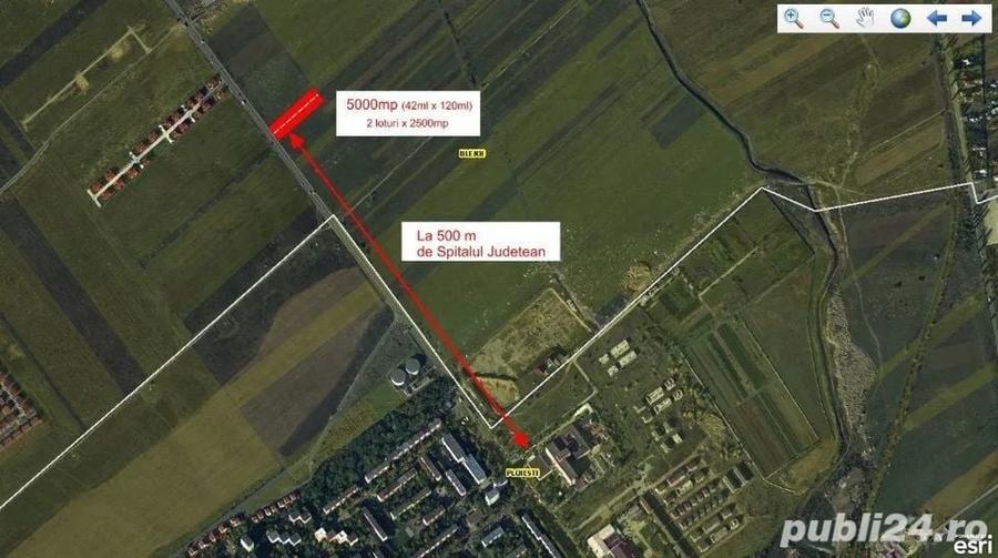 Teren de 5000 mp, în Roua