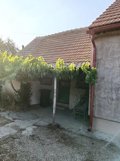 Casă cu 3 camere cu Teren 1500 Mp în Denta