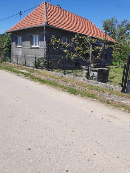 Casă cu 3 camere în Agrij