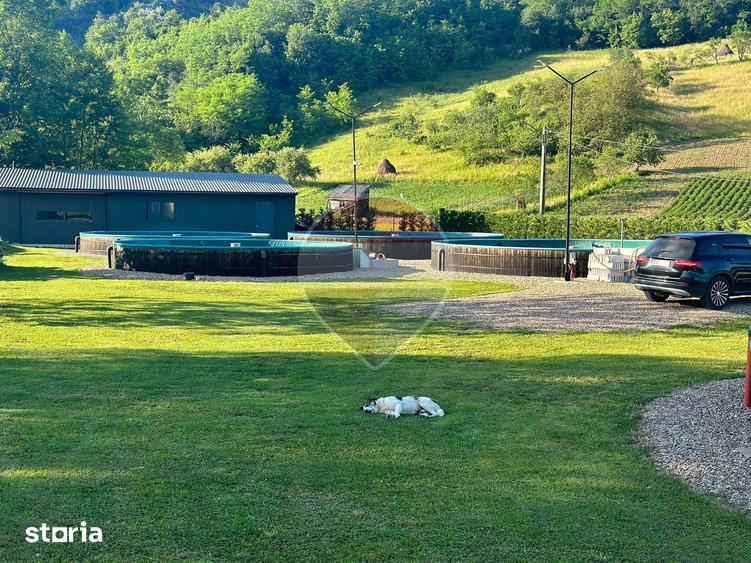 Teren intravilan 4577 mp cu pastravarie func?ionala, comision 0% - 10