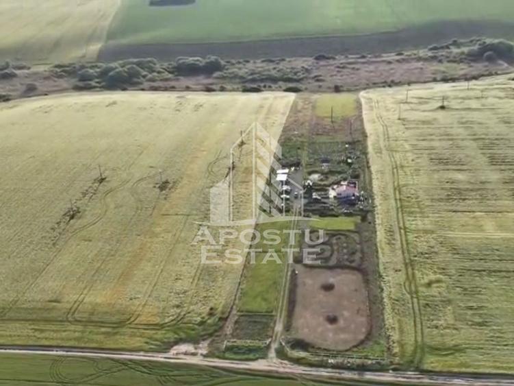 Farmhouse la 14km de Timisoara, teren agricol 1ha - 5