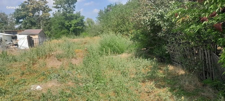 Casă cu Teren 1700 Mp în Roșiori