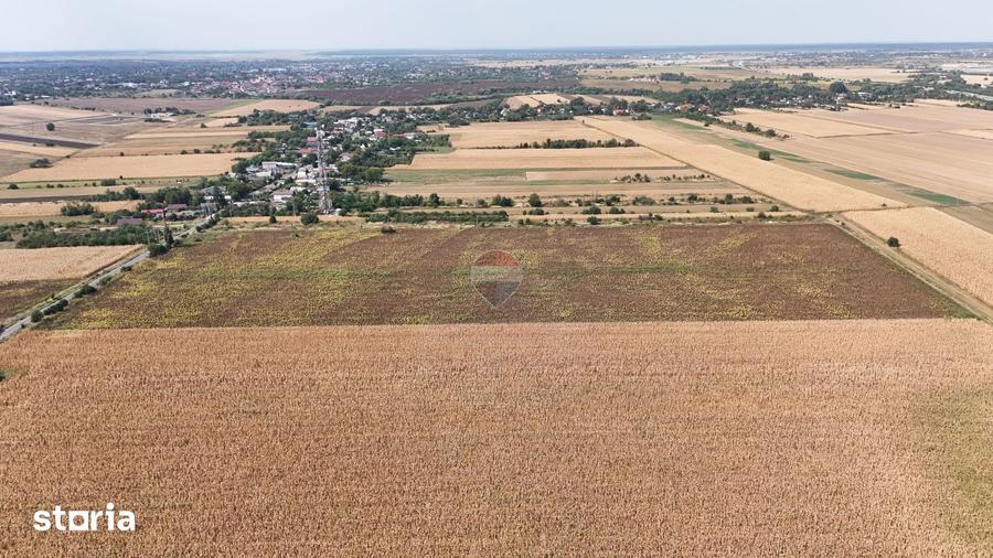 Teren de 8648 mp, în Ulmi