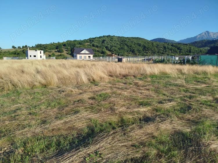 Teren de 1000 mp, în Glăjărie
