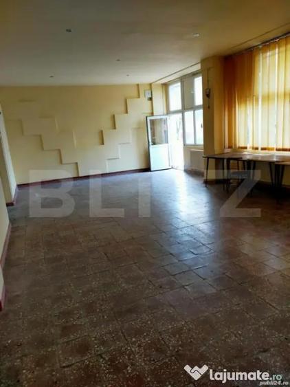 Spatiu comercial de vanzare - Lugoj - 1