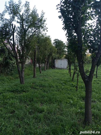 Teren de 11600 mp, în Câmpenești