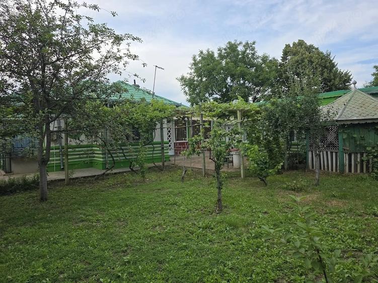 Casă cu Teren 1000 Mp în Central