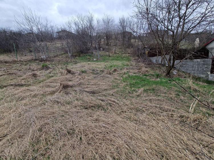 Teren agricol intravilan de 584 mp, în Dezmir