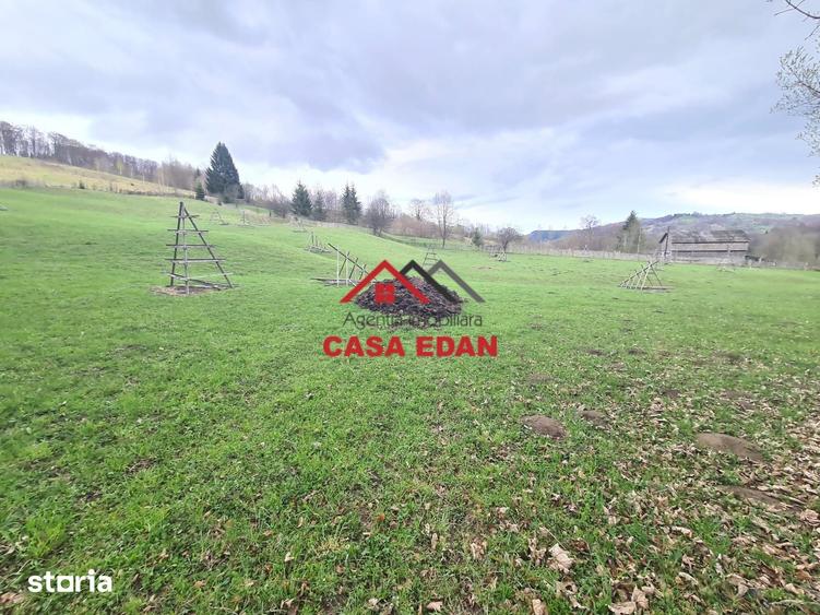 Teren de 20500 mp, în Valea Doftanei
