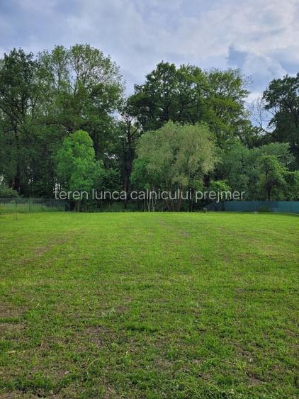 Teren LA PADURE intravilan, Prejmer, Lunca Calnicului 1468 mp
