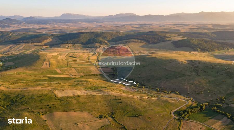 Teren 2,57 ha langa Viscri | agricultura sau ferma | comision 0