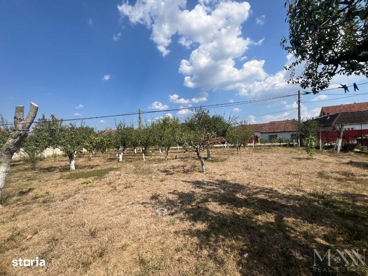 Teren intravilan de vanzare | Tileagd | jud. Bihor - 3