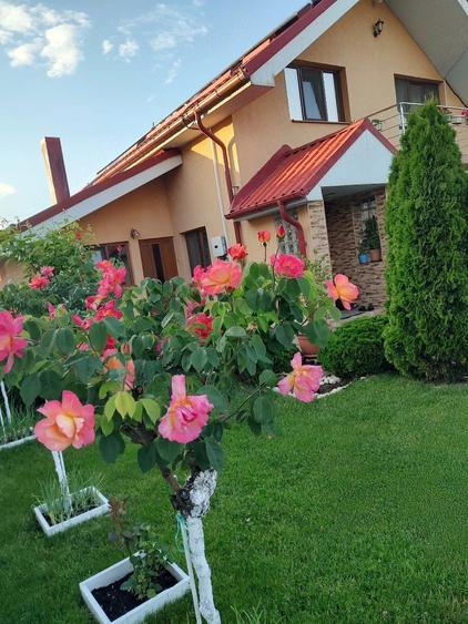 Casă cu 5 camere cu Teren 362 Mp în Malu Mare