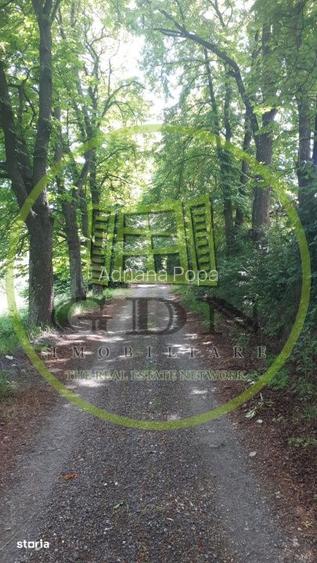 Teren extravilan de vanzare | 4288 mp | in Gusterita