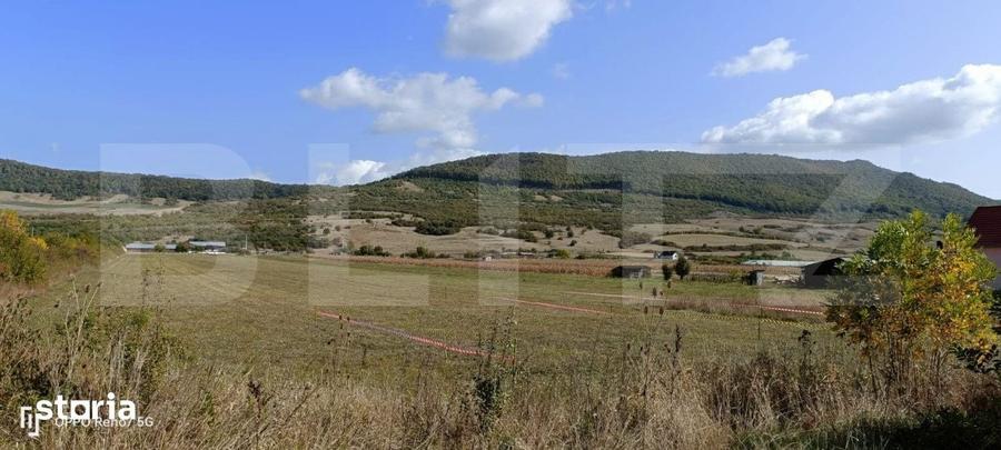 Teren de 4900 mp, în Șieu