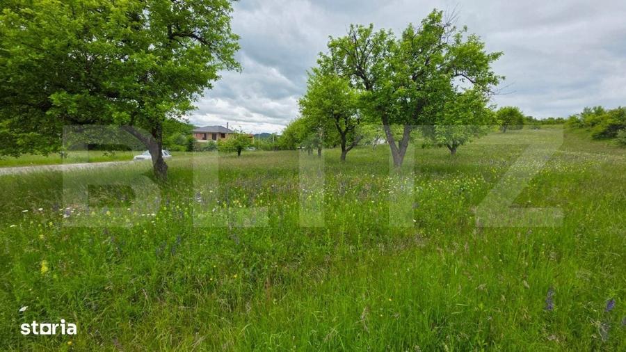Spațiu comercial, în Slătinița