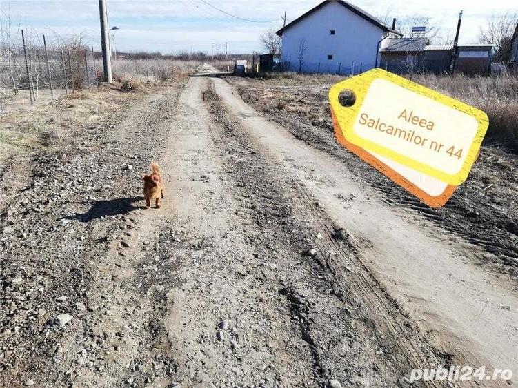 Spațiu comercial, în Buciumeni