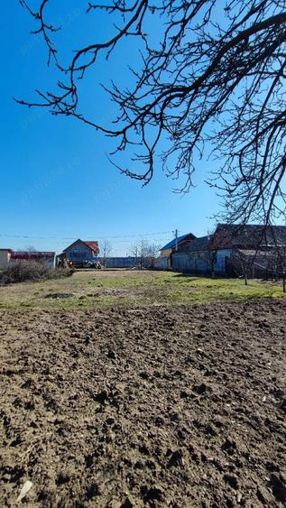 Teren de 800 mp, în Dumbrava
