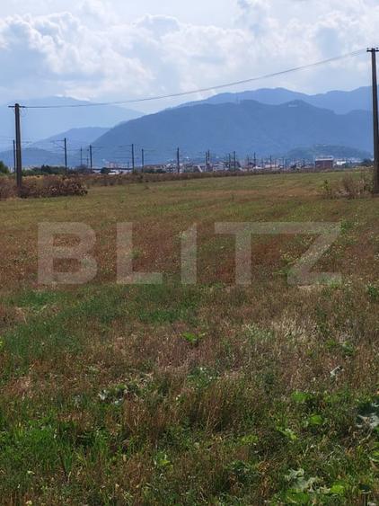 Teren Construcții intravilan de 15924 mp, în Bartolomeu