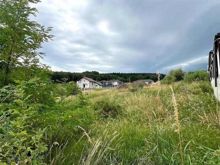 Teren agricol extravilan de 1570 mp, în Est
