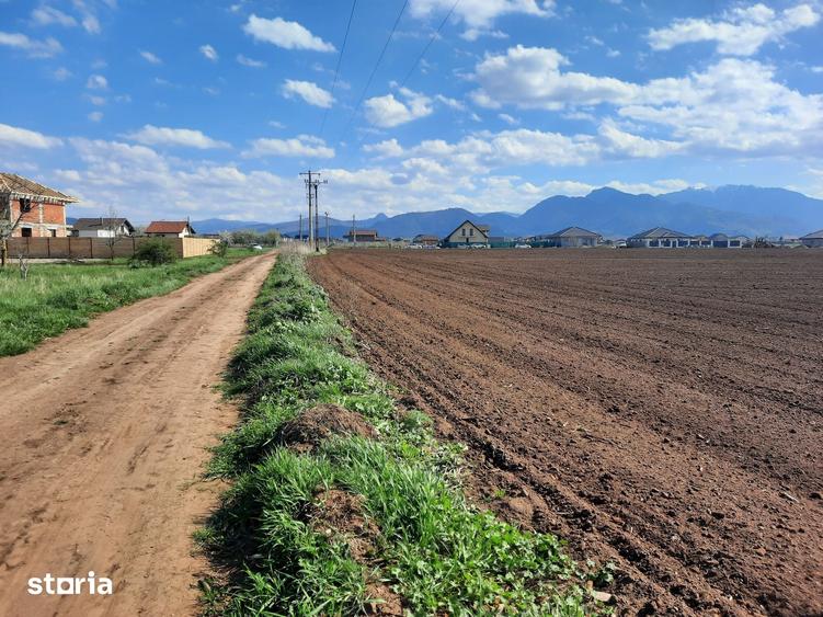 Teren de 52800 mp, în Tărlungeni