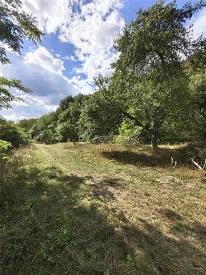 Teren de 2500 mp, în Colonia Tălmaciu