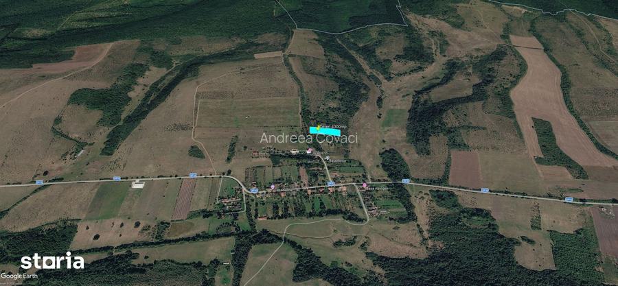 Teren extravilan 4300mp in Bogda, jude?ul Timi?