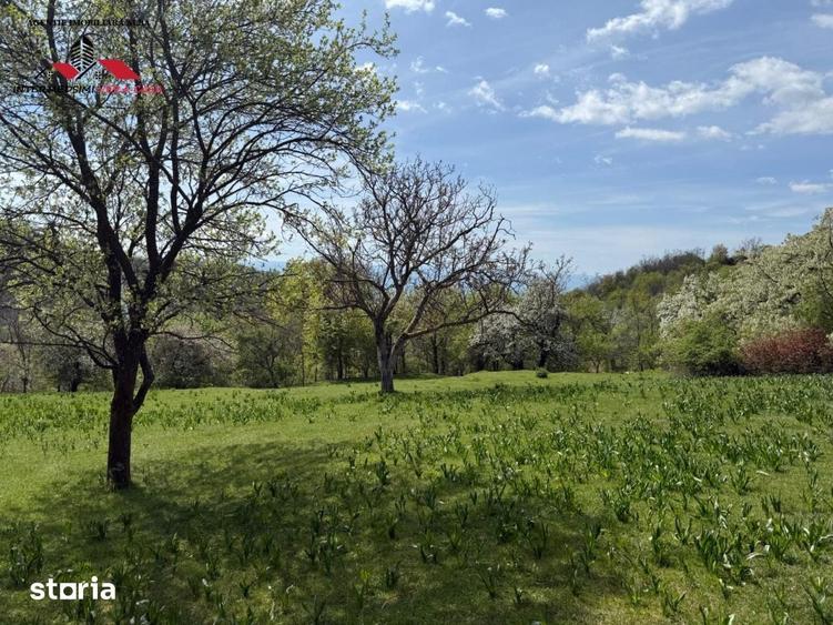 Teren de 8330 mp, în Vințu de Jos