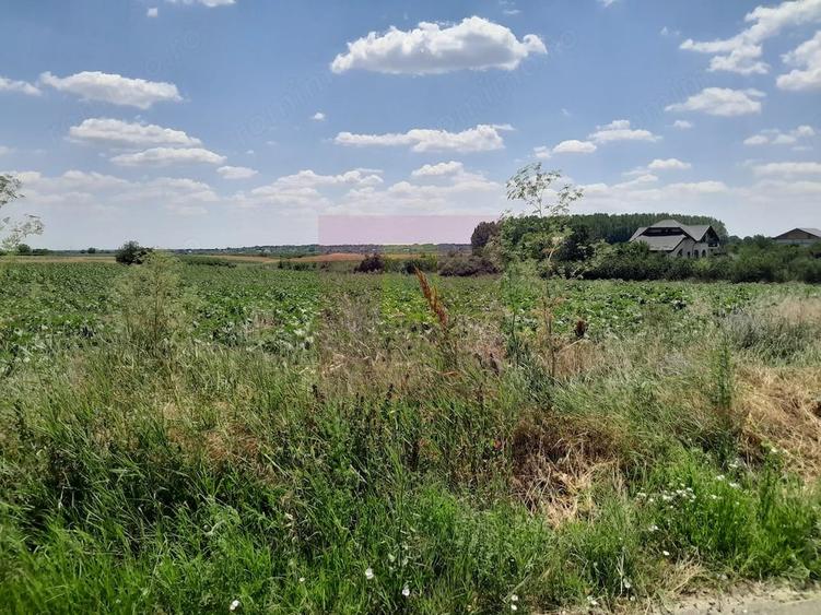 Teren de 16500 mp, în Teișori
