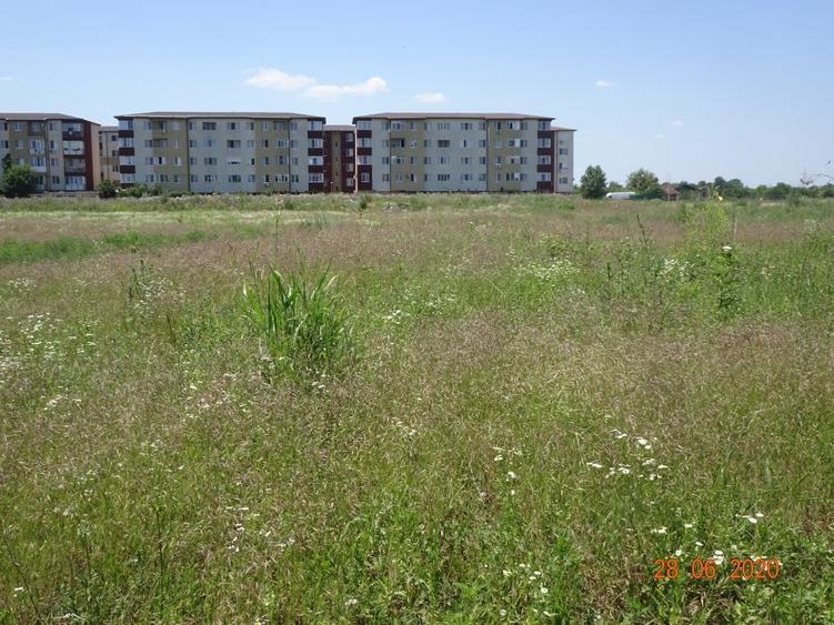 Teren Construcții intravilan de 2500 mp, în Prelungirea Ghencea