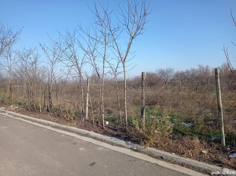 Teren de 500 mp, în Central