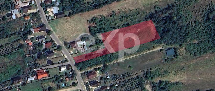 Teren Construcții intravilan de 5000 mp, în Moșoaia