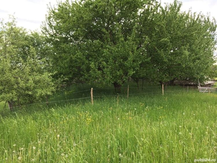 Teren de 30000 mp, în Crăcăoani