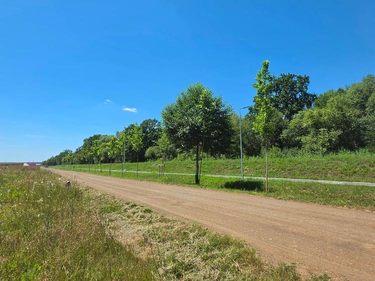Teren Construcții intravilan de 605 mp, în Ghiroda