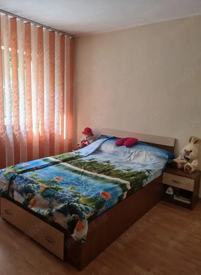 Apartament cu 3 camere decomandat în Brezoi