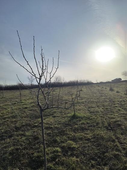 Teren de 8700 mp, în Ramna