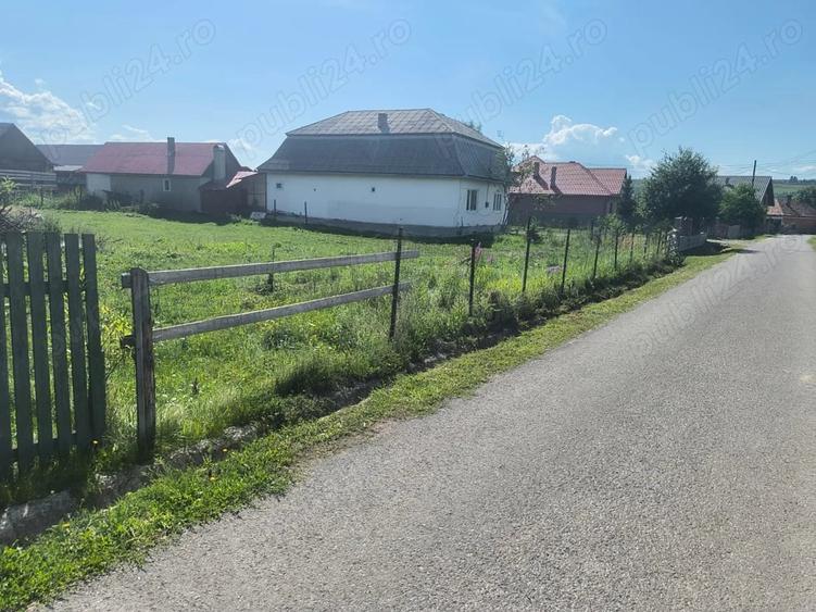 Teren de 2600 mp, în Moglănești