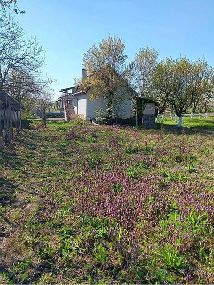 Teren de 1500 mp, în Ardud