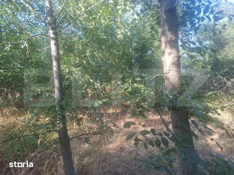 Teren extravilan de vaznare, 5000 mp, zona Matasaru