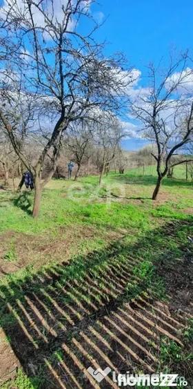 Casă cu 2 camere cu Teren 1274 Mp în Buzoești