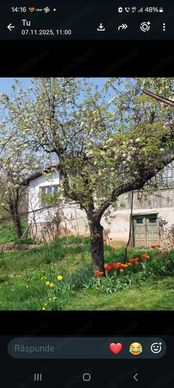 Teren de 2150 mp, în Central