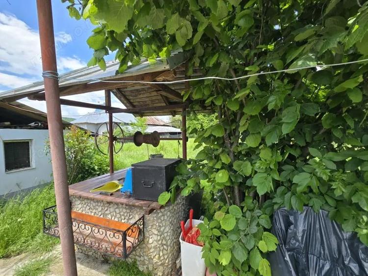 Casă cu Teren 3450 Mp în Mușătești